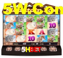 Live Casino 5Hbet